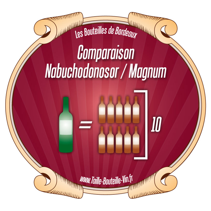 Comparaison entre la bouteille de Bordeaux nabuchodonosor et magnum