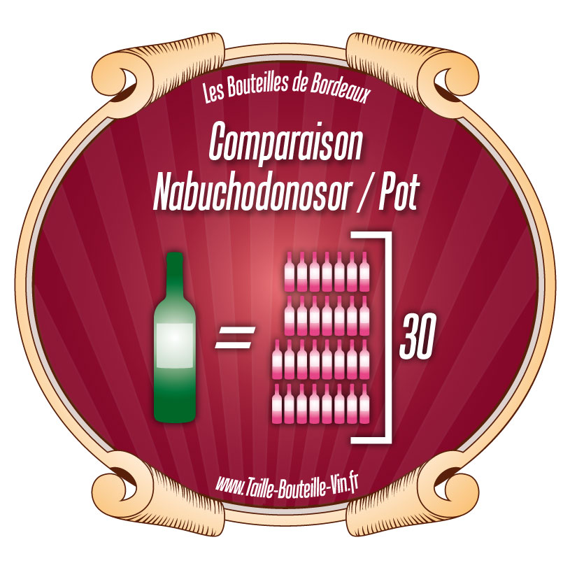 Comparaison entre la bouteille de Bordeaux nabuchodonosor et pot