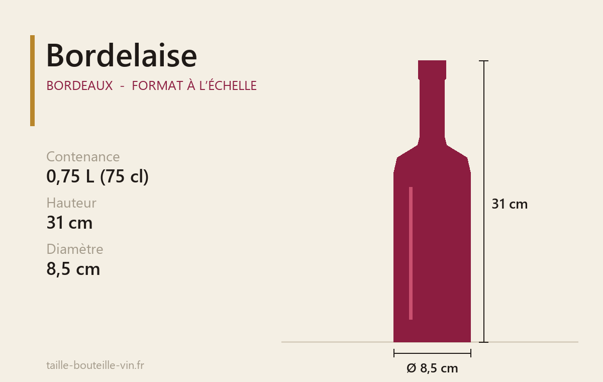 Schéma à l’échelle du Bordelaise (Bordeaux) : 0,75 L, 31 cm de haut, 8,5 cm de diamètre