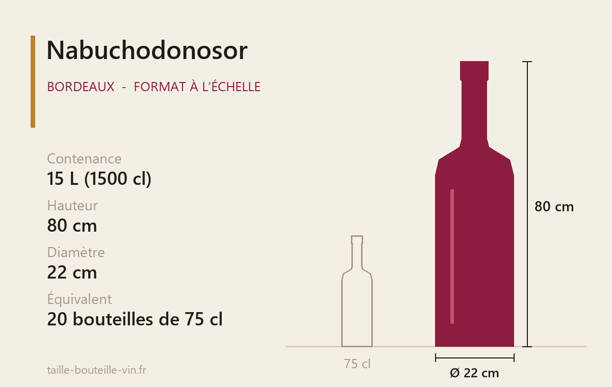 Le Nabuchodonosor (Bordeaux) : taille et caractéristiques Schéma à l’échelle du Nabuchodonosor (Bordeaux) : 15 L, 80 cm de haut, 22 cm de diamètre
