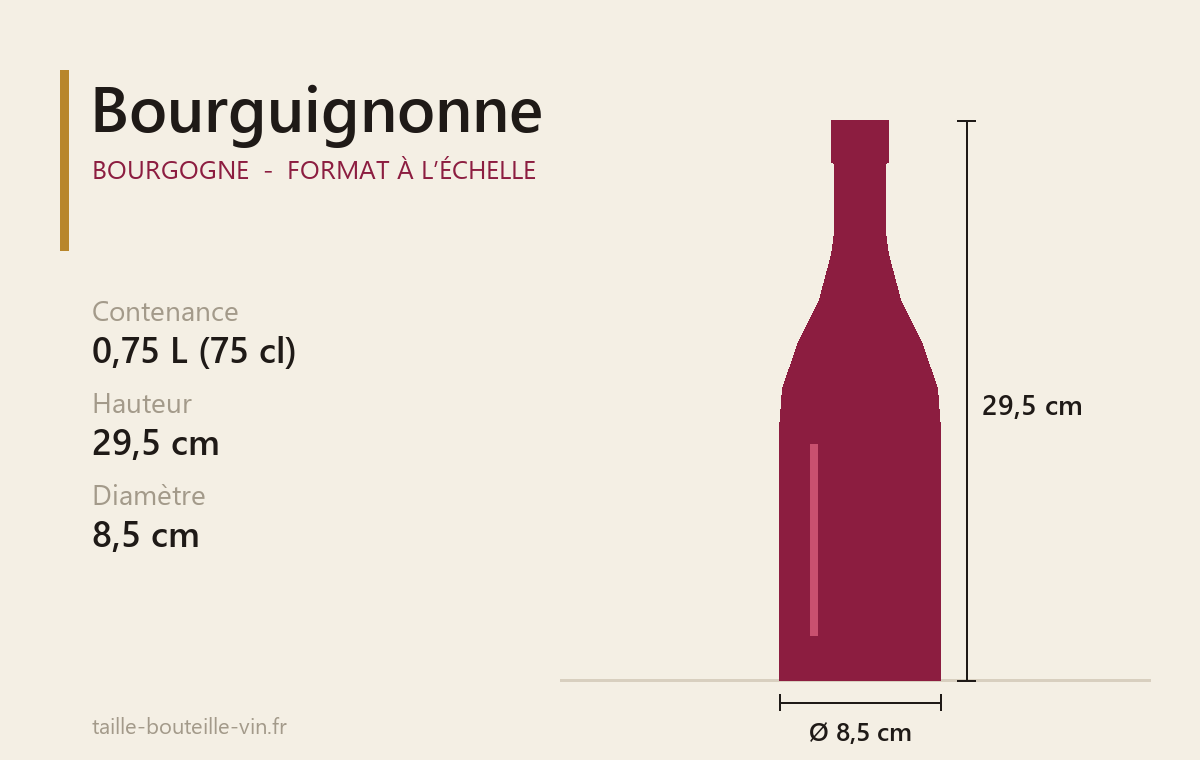 Schéma à l’échelle du Bourguignonne (Bourgogne) : 0,75 L, 29,5 cm de haut, 8,5 cm de diamètre