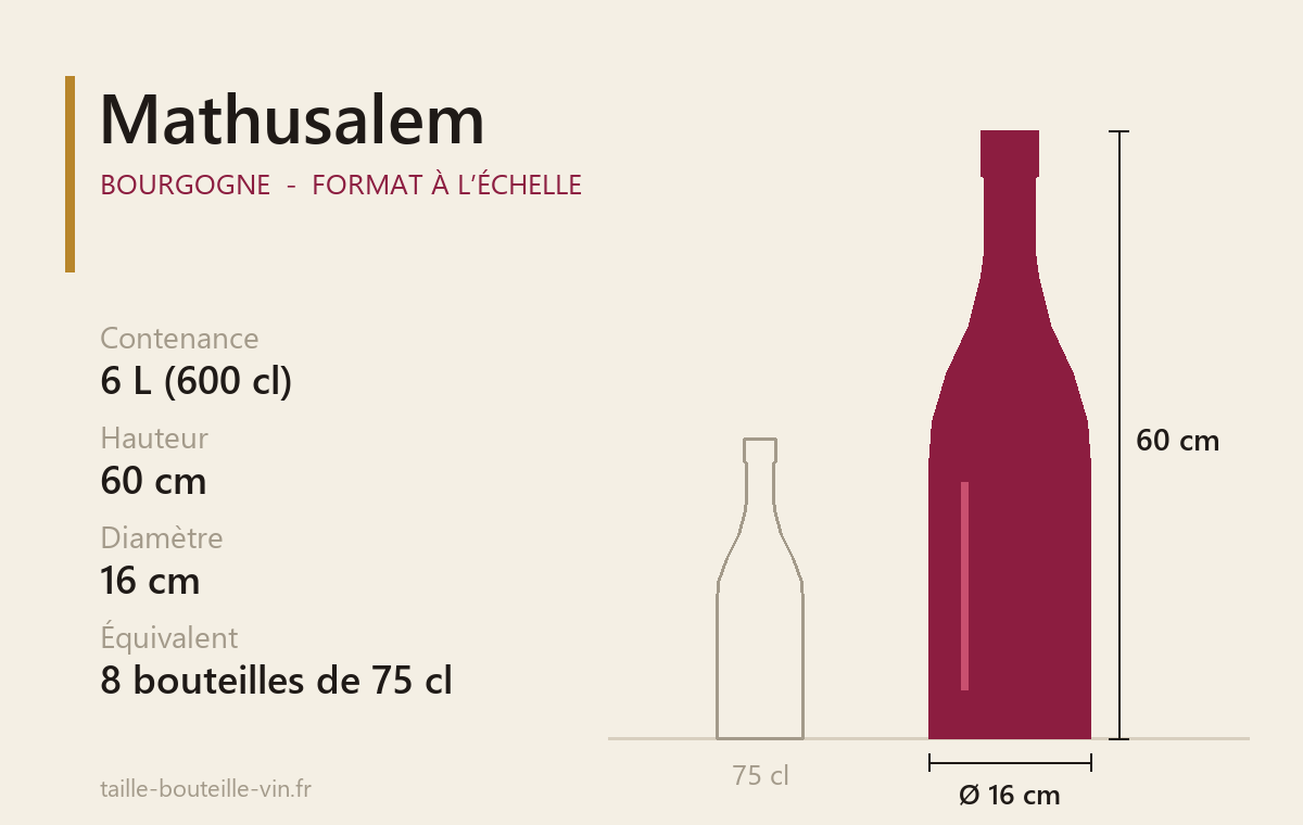 Schéma à l’échelle du Mathusalem (Bourgogne) : 6 L, 60 cm de haut, 16 cm de diamètre