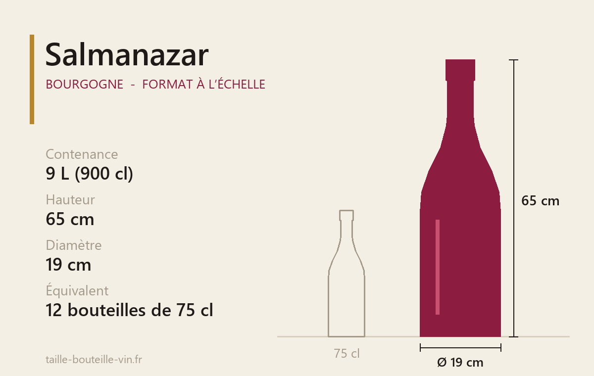 Schéma à l’échelle du Salmanazar (Bourgogne) : 9 L, 65 cm de haut, 19 cm de diamètre