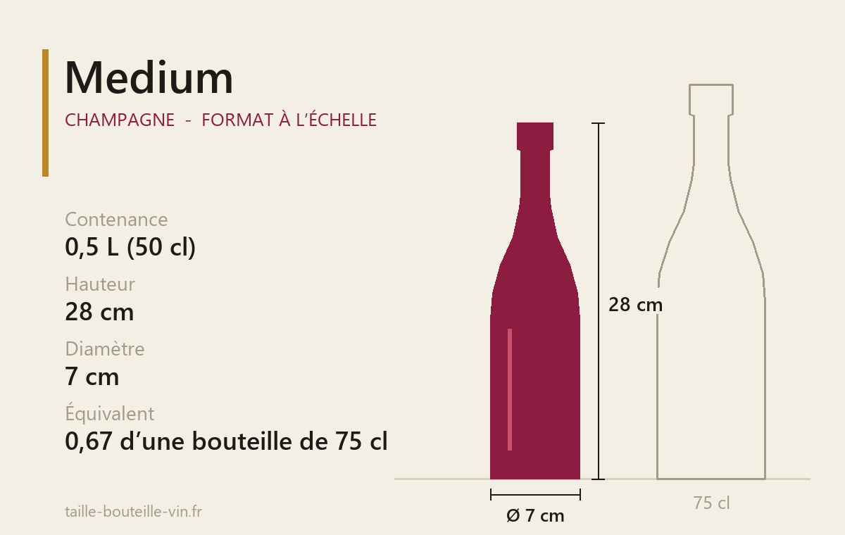 Schéma à l’échelle du Medium (Champagne) : 0,5 L, 28 cm de haut, 7 cm de diamètre