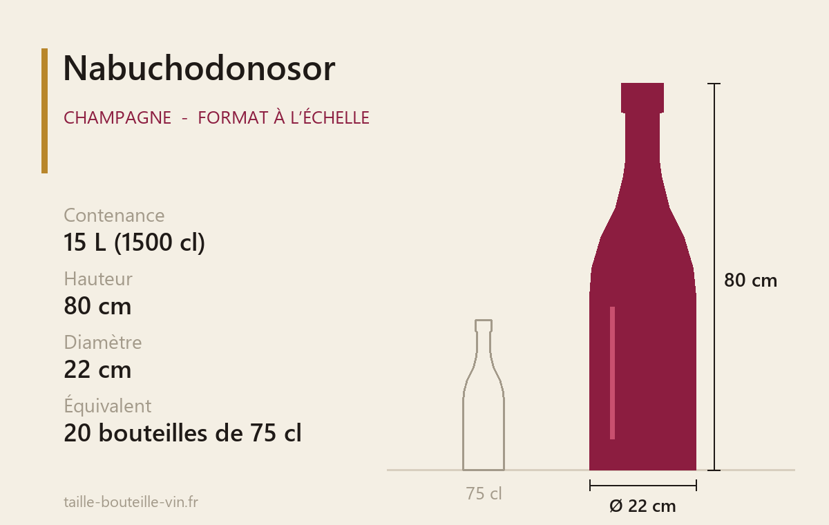 Schéma à l’échelle du Nabuchodonosor (Champagne) : 15 L, 80 cm de haut, 22 cm de diamètre
